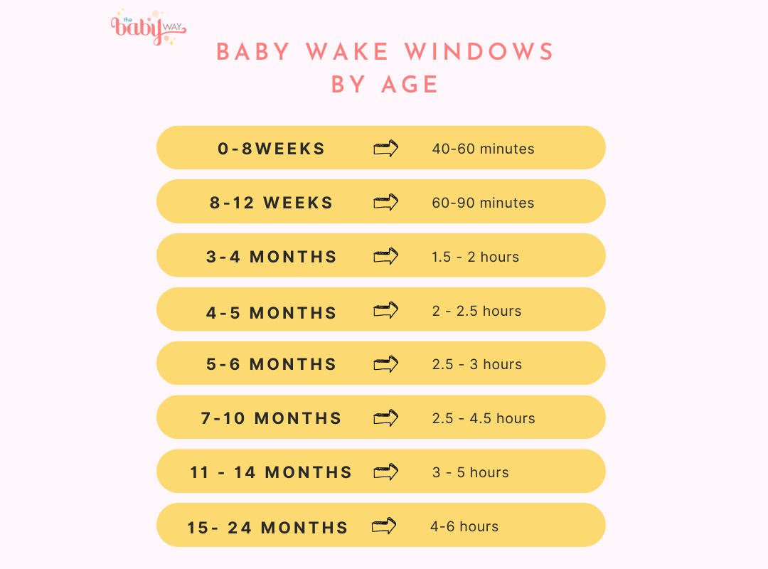 baby wake windows